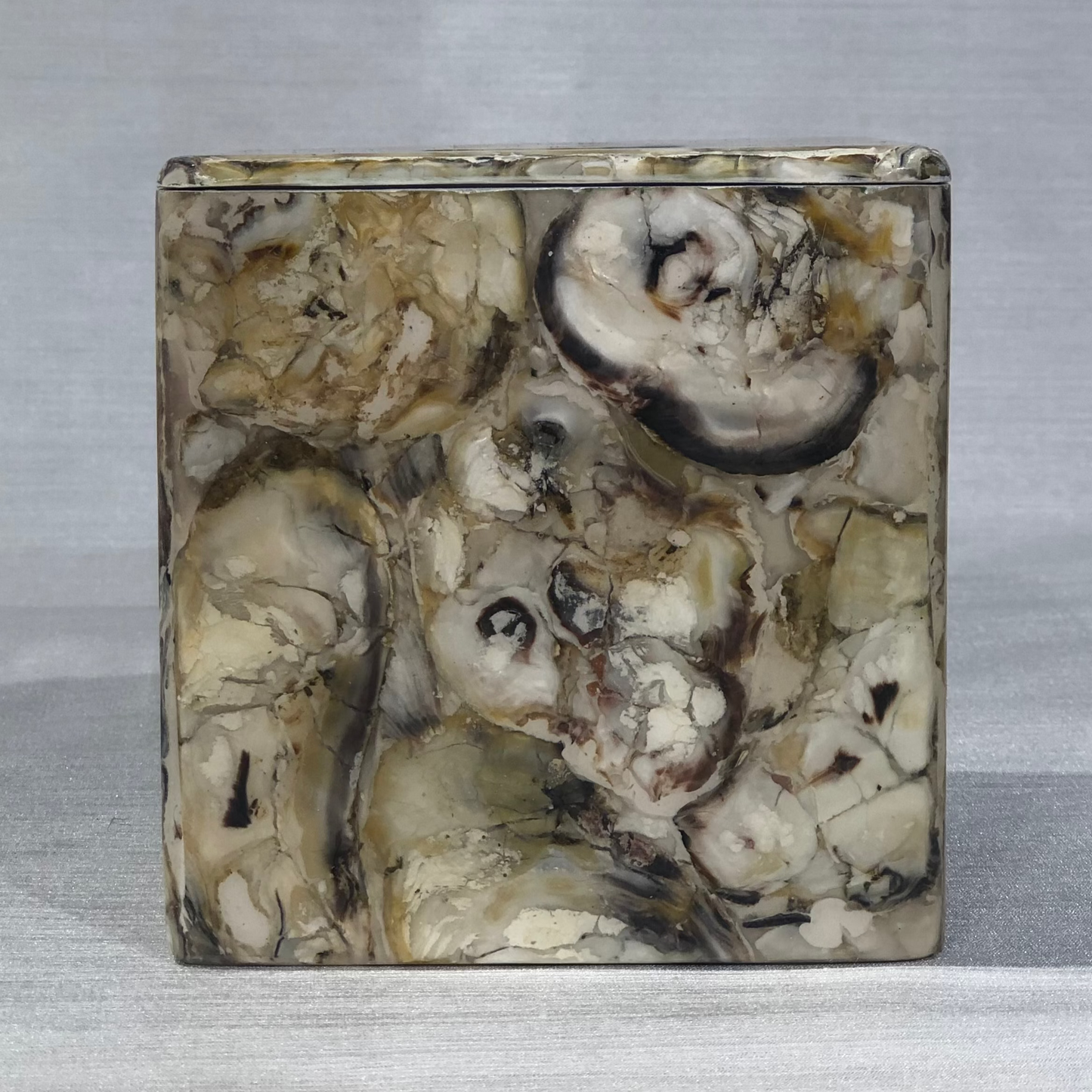 Ostra Shell Table Lamp (Oyster)