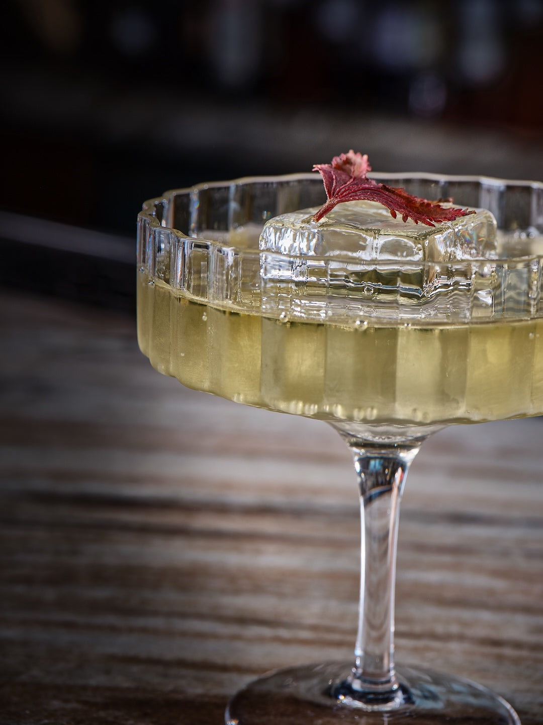 Modernism x Lara K. Crystal Champagne Coupe Glasses