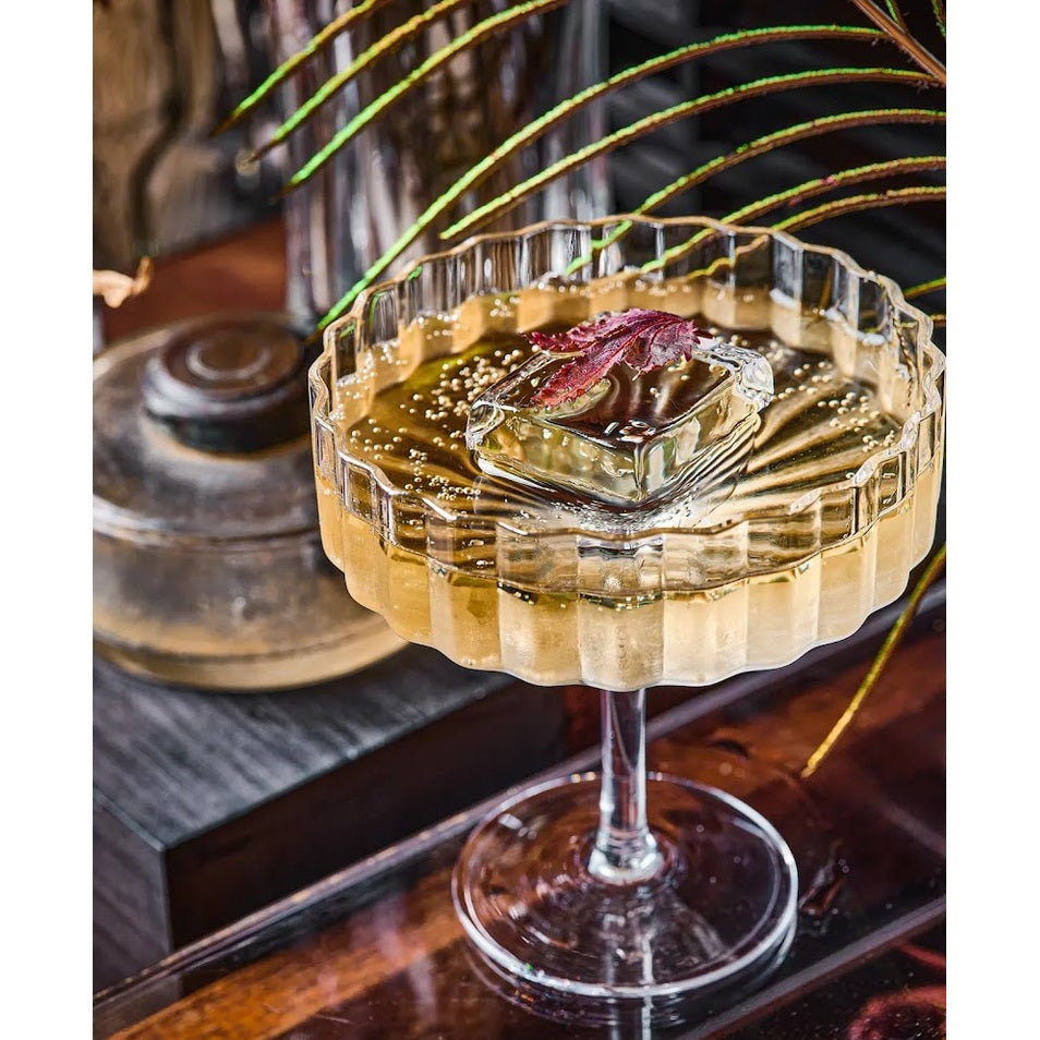 Modernism x Lara K. Crystal Champagne Coupe Glasses
