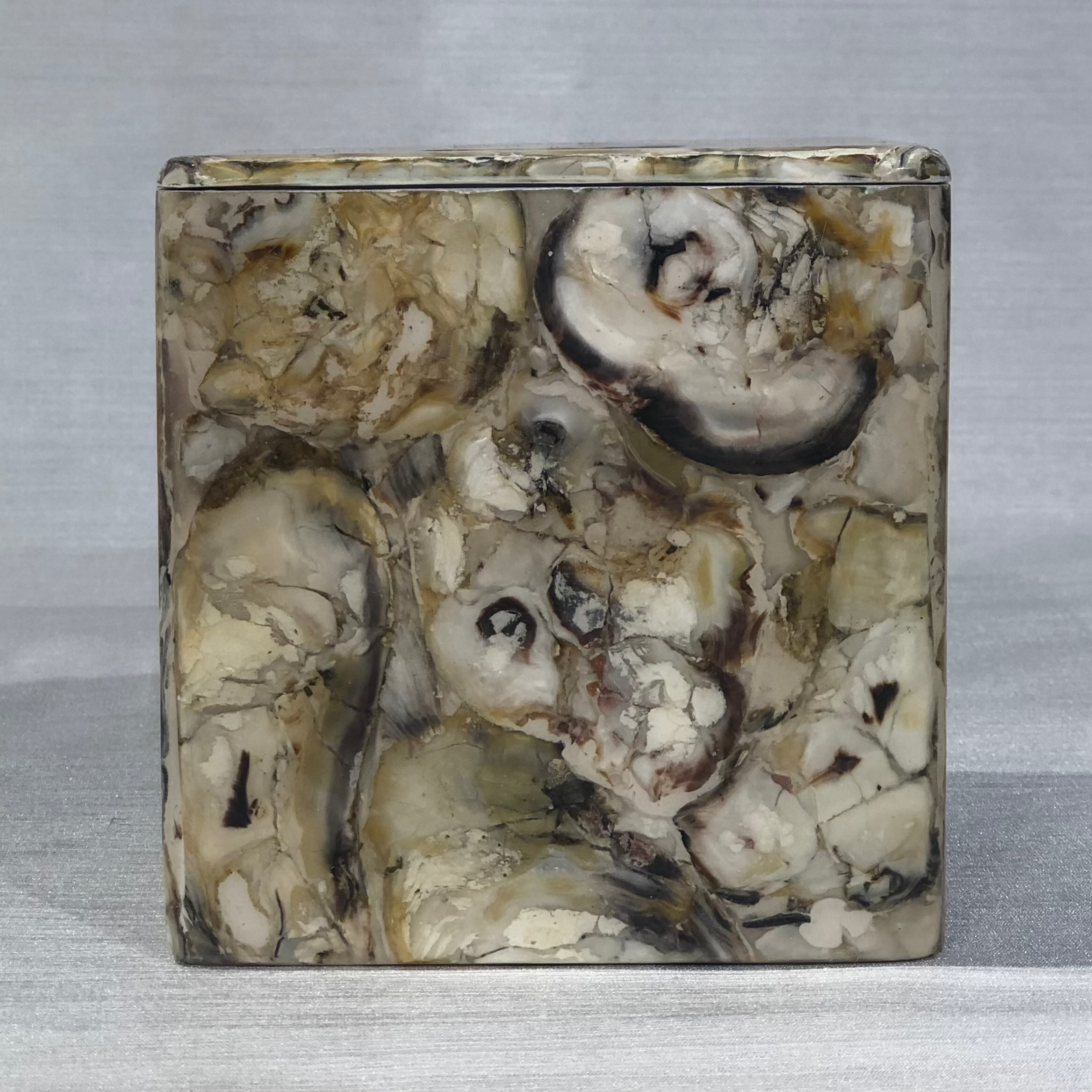 Ostra Shell Table Lamp (Oyster)