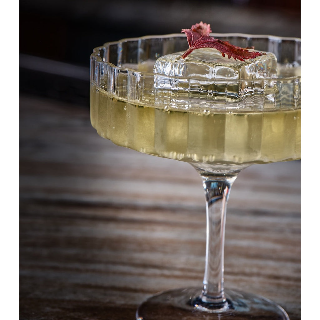 Modernism x Lara K. Crystal Champagne Coupe Glasses