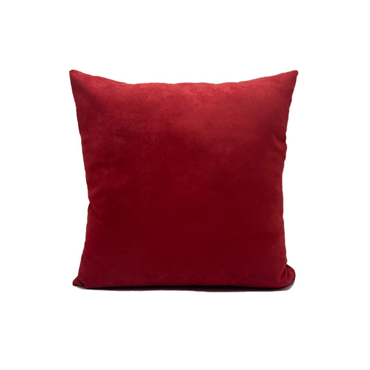 Scatter Cushion | Accent Pillow  6672